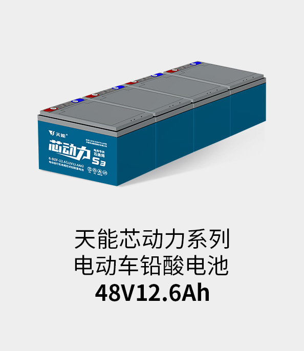 热博rb88·(中国)集团电池48v12ah