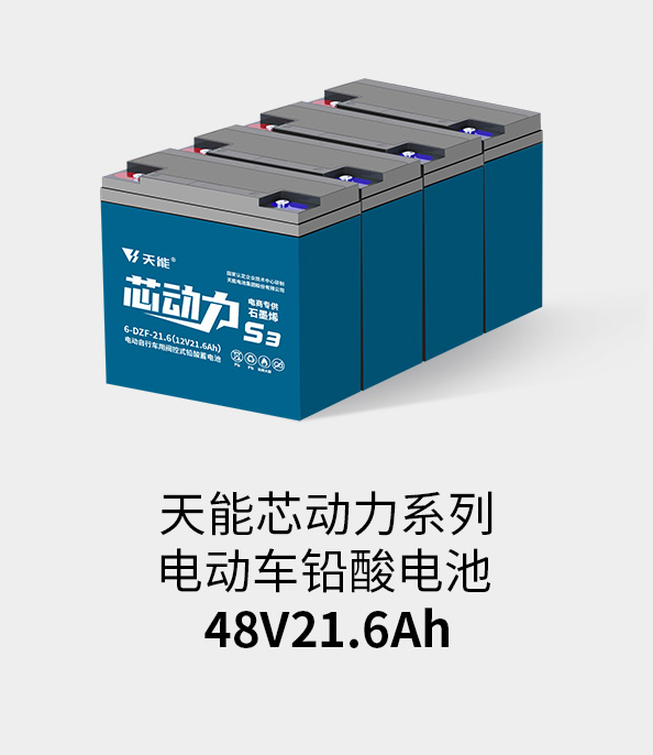 热博rb88·(中国)集团电池48v20ah