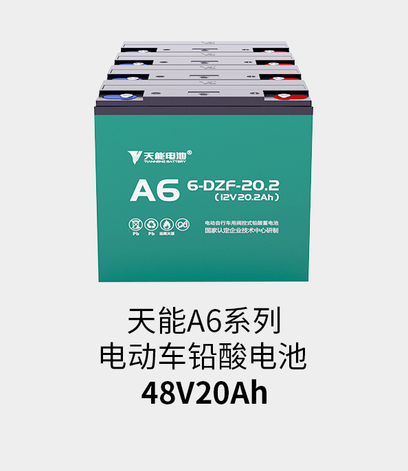 热博rb88·(中国)集团电池48v20ah