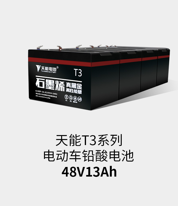 热博rb88·(中国)集团T3系列48v13ah