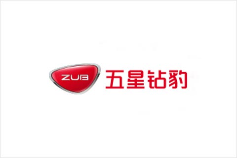 热博rb88·(中国)集团电池合作伙伴 五星钻豹电动车